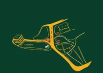 Programa Drenar São Caetano