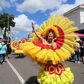 Carnaval em São Caetano