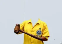 judicialização da saúde