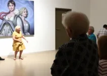 espetáculo gratuito para a Terceira Idade de São Caetano