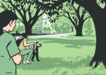 educação de trânsito