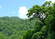 ecologia e saúde