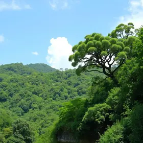ecologia e saúde