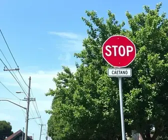 sinalização e poda em São Caetano